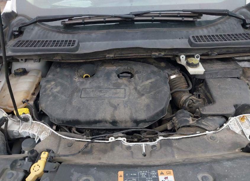 Photo 10 of 2014 Ford Escape TITANIUM (VIN 1FMCU0J94EUE51944)