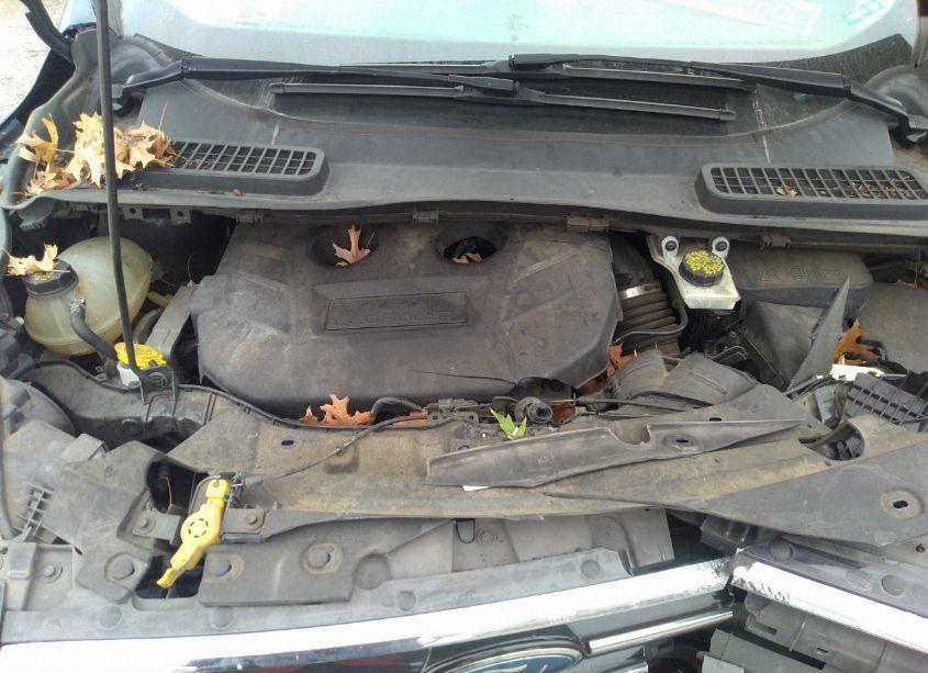 Photo 10 of 2017 Ford Escape TITANIUM (VIN 1FMCU0J95HUD34782)