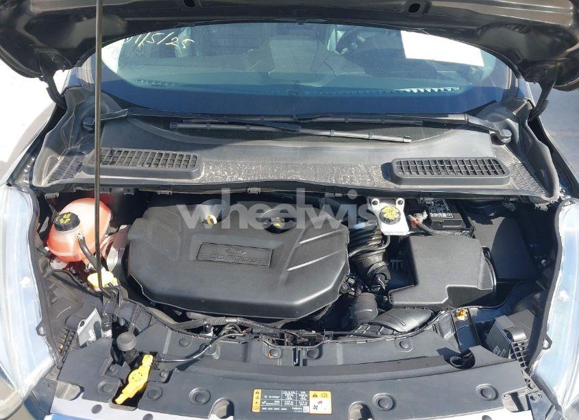 Photo 10 of 2019 Ford Escape (VIN 1FMCU0J95KUA04972)