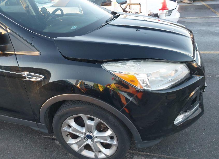 Photo 17 of 2016 Ford Escape TITANIUM (VIN 1FMCU0J96GUA75475)