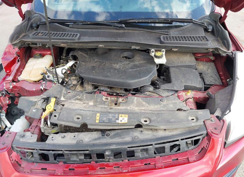 Photo 10 of 2016 Ford Escape TITANIUM (VIN 1FMCU0J98GUA36497)