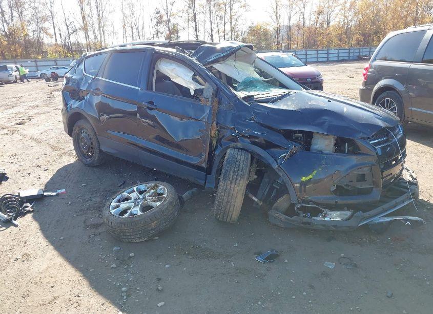 2014 Ford Escape TITANIUM (VIN 1FMCU0J9XEUA66341) main photo