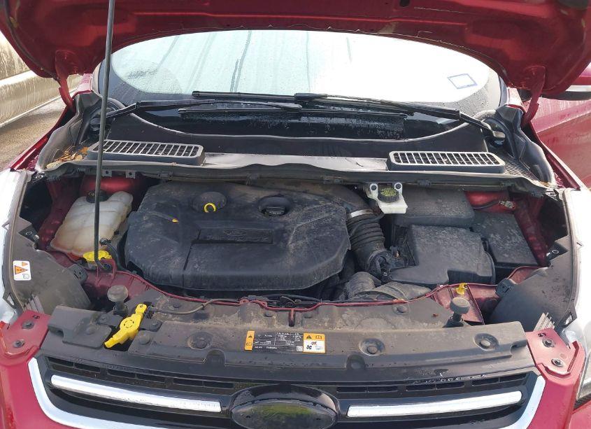 Photo 10 of 2014 Ford Escape TITANIUM (VIN 1FMCU0J9XEUE00089)