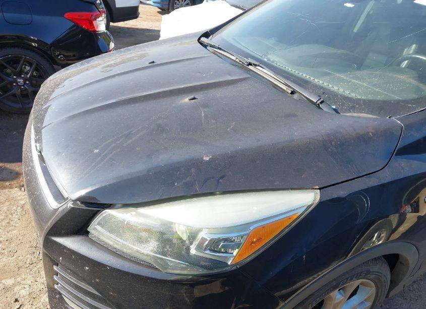 Photo 6 of 2014 Ford Escape TITANIUM (VIN 1FMCU0JX4EUC59034)