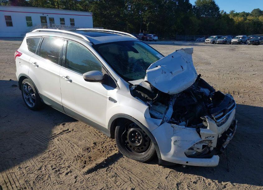 2014 Ford Escape TITANIUM (VIN 1FMCU0JX4EUE37637) main photo