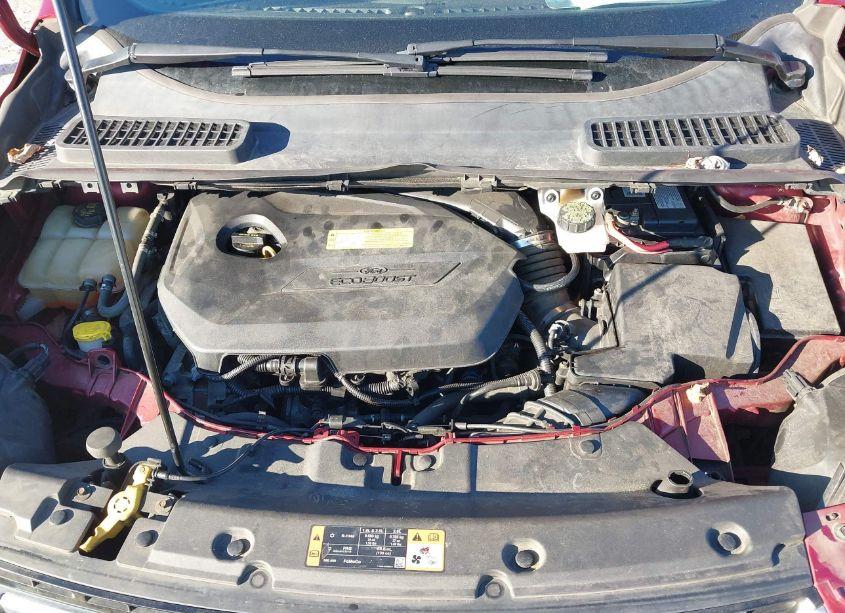 Photo 10 of 2014 Ford Escape TITANIUM (VIN 1FMCU0JX6EUC06822)