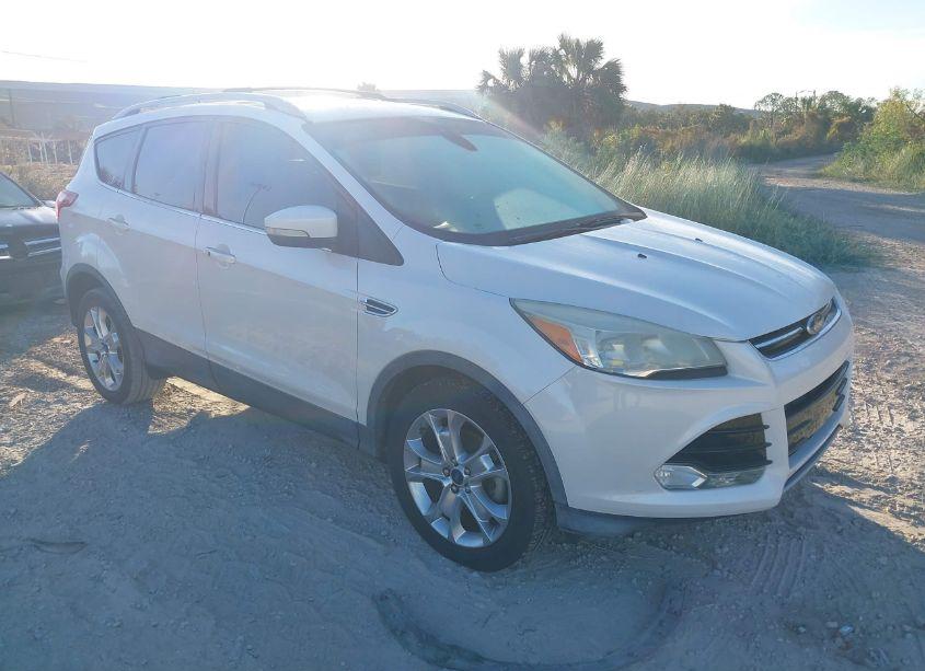 2014 Ford Escape TITANIUM (VIN 1FMCU0JXXEUA66872) main photo