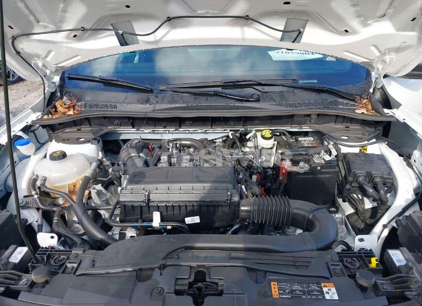 Photo 10 of 2024 Ford Escape ST-LINE (VIN 1FMCU0MN8RUB08956)