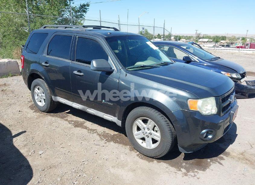2009 Ford Escape HYBRID LIMITED (VIN 1FMCU59349KB02605) main photo