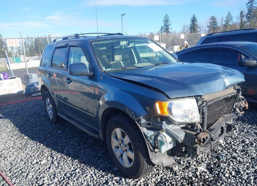 2010 Ford Escape HYBRID LIMITED (VIN 1FMCU5K3XAKB07368) main photo