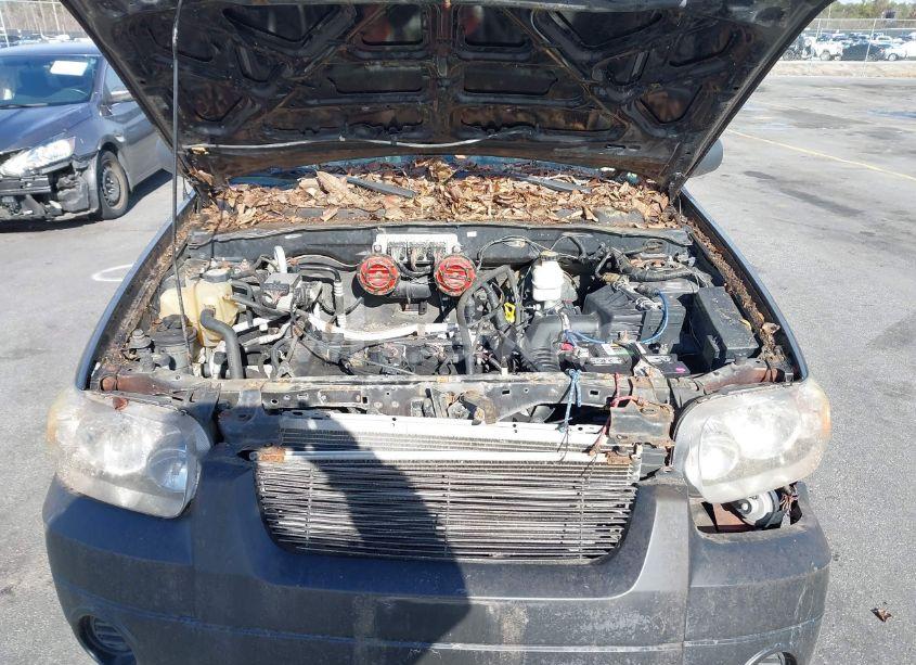 Photo 10 of 2007 Ford Escape XLS/XLS MANUAL (VIN 1FMCU92Z27KA20312)