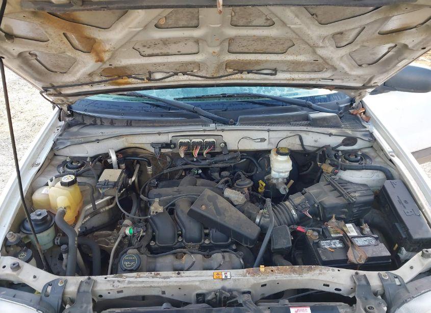 Photo 10 of 2007 Ford Escape XLT/XLT SPORT (VIN 1FMCU93117KA75147)