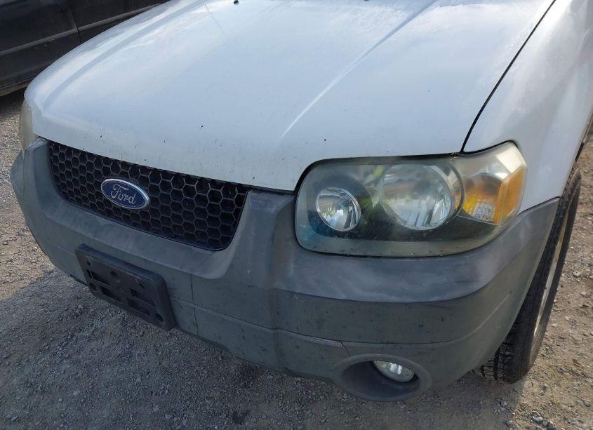 Photo 15 of 2007 Ford Escape XLT/XLT SPORT (VIN 1FMCU93117KA75147)