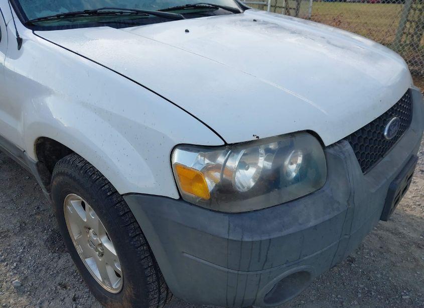 Photo 16 of 2007 Ford Escape XLT/XLT SPORT (VIN 1FMCU93117KA75147)