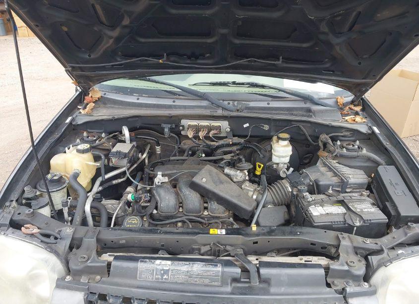 Photo 10 of 2007 Ford Escape XLT/XLT SPORT (VIN 1FMCU93177KB06420)