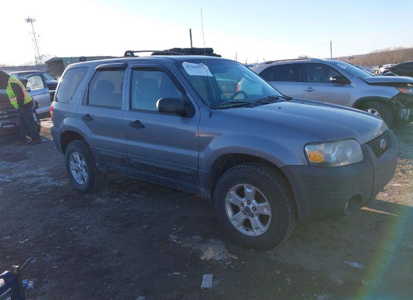 2007 Ford Escape XLT/XLT SPORT (VIN 1FMCU931X7KA40445) main photo