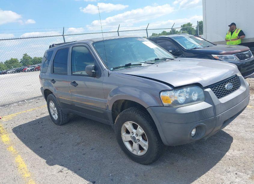 2007 Ford Escape XLT/XLT SPORT (VIN 1FMCU931X7KB99210) main photo