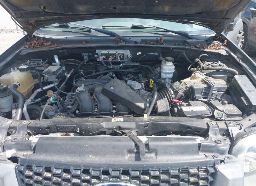 Photo 10 of 2007 Ford Escape XLT/XLT SPORT (VIN 1FMCU931X7KB99210)