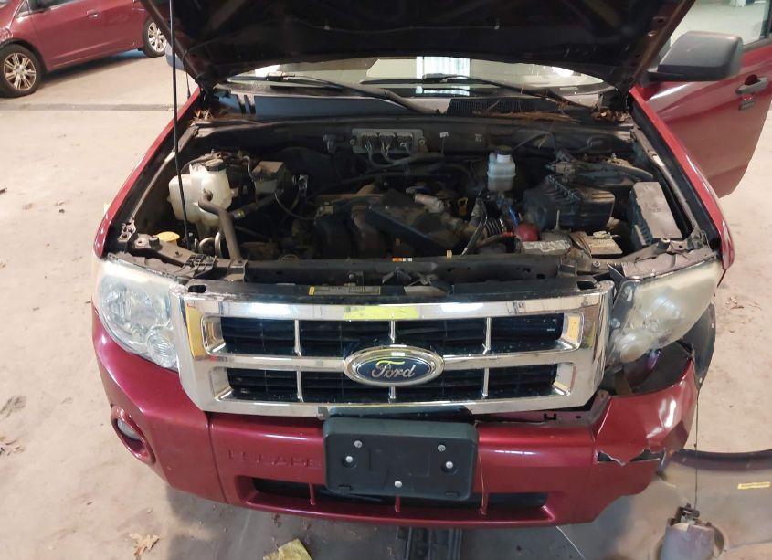 Photo 10 of 2008 Ford Escape XLT (VIN 1FMCU931X8KA04028)