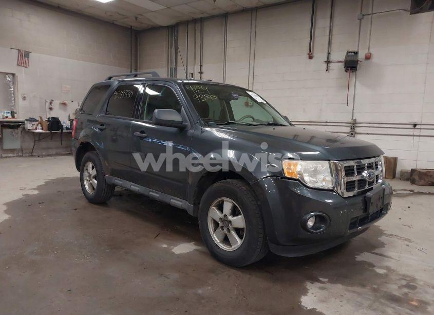 2009 Ford Escape XLT (VIN 1FMCU93709KD03906) main photo