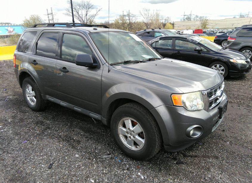 2009 Ford Escape XLT (VIN 1FMCU93749KA06962) main photo