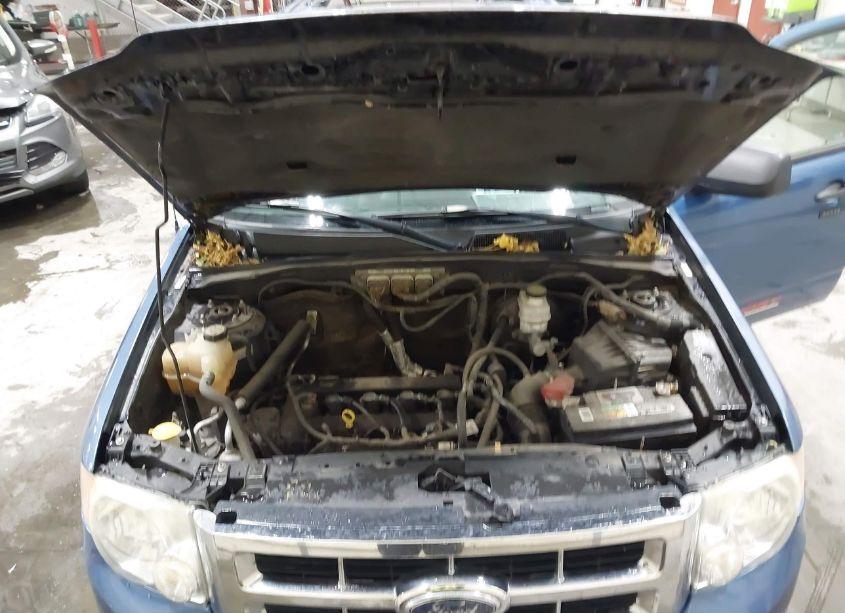 Photo 10 of 2009 Ford Escape XLT (VIN 1FMCU93759KC31147)