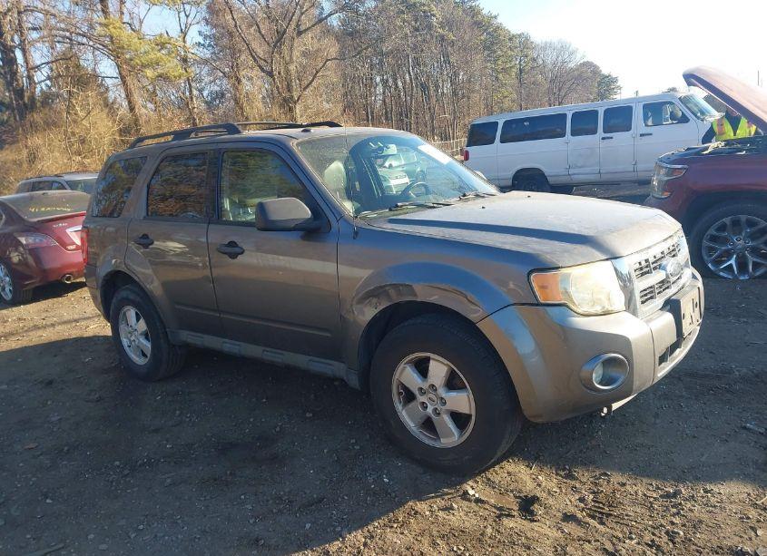 2009 Ford Escape XLT (VIN 1FMCU93G19KA13951) main photo