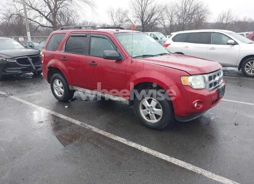 2009 Ford Escape XLT (VIN 1FMCU93G19KB53501) main photo