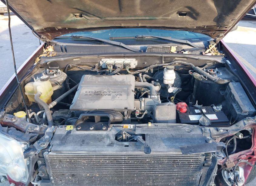 Photo 10 of 2009 Ford Escape XLT (VIN 1FMCU93G19KB78253)