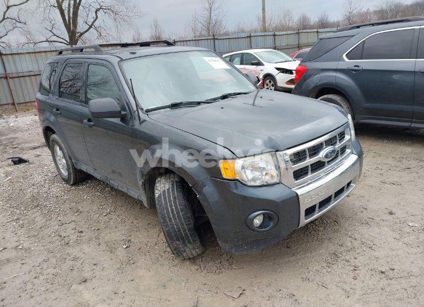 2009 Ford Escape XLT (VIN 1FMCU93G29KC65983) main photo