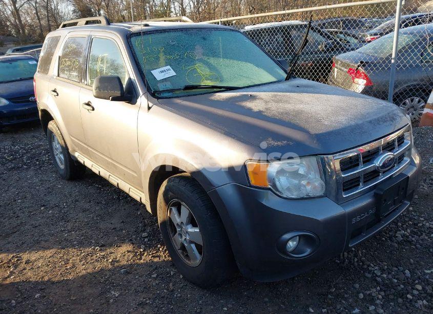 2009 Ford Escape XLT (VIN 1FMCU93G49KA87879) main photo