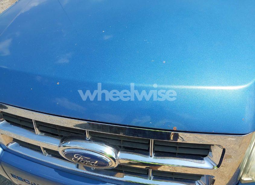 Photo 14 of 2009 Ford Escape XLT (VIN 1FMCU93G69KA07479)