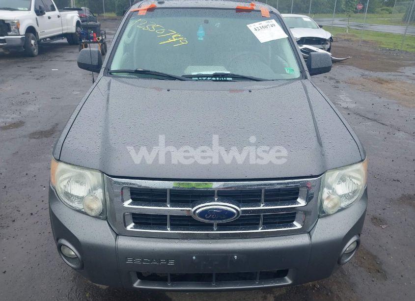 Photo 11 of 2009 Ford Escape XLT (VIN 1FMCU93G69KB62260)