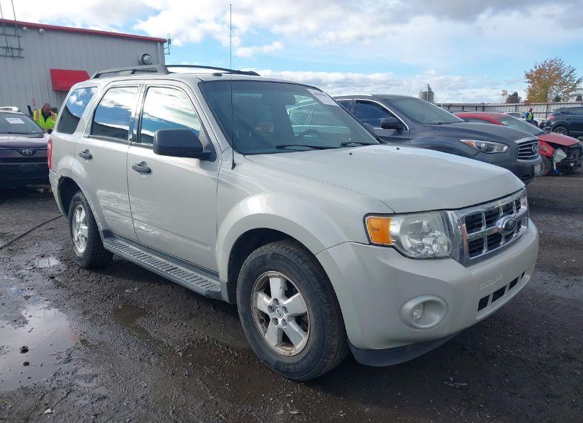 2009 Ford Escape XLT (VIN 1FMCU93G69KC29455) main photo