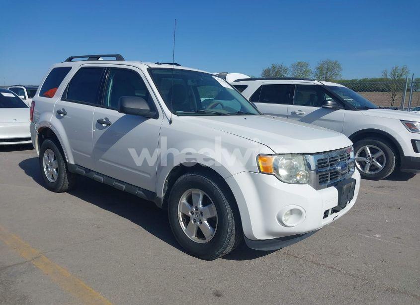 2009 Ford Escape XLT (VIN 1FMCU93G79KC85002) main photo