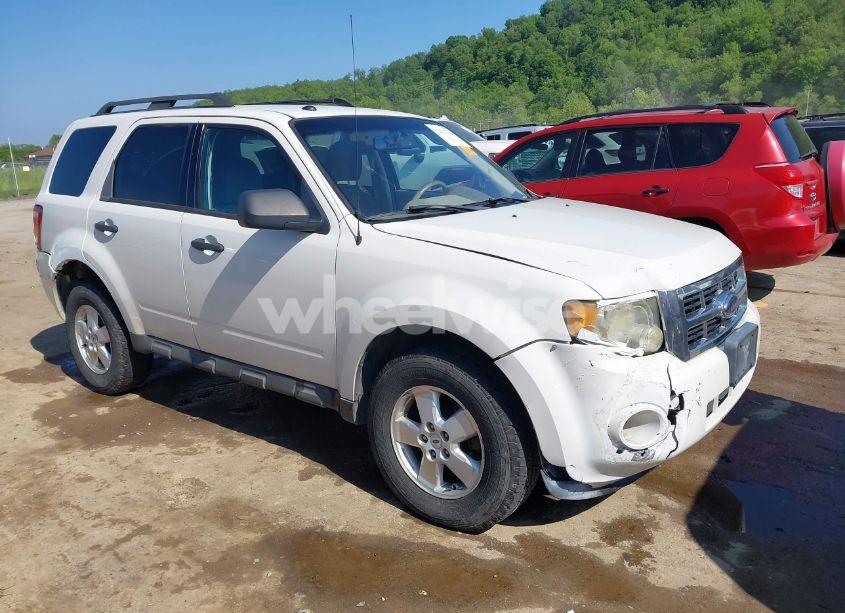 2009 Ford Escape XLT (VIN 1FMCU93G89KA82202) main photo