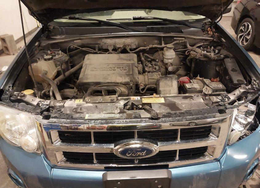 Photo 10 of 2009 Ford Escape XLT (VIN 1FMCU93G99KC47884)