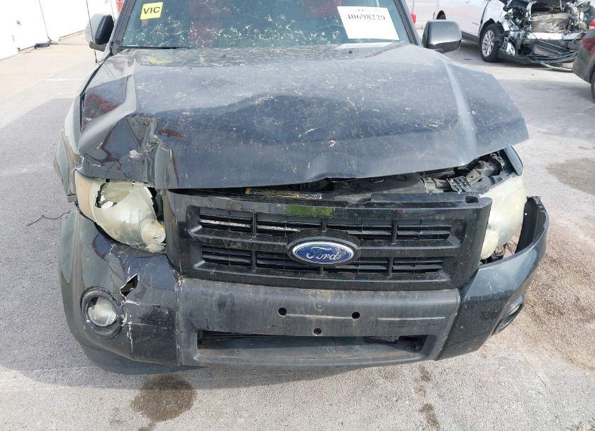 Photo 6 of 2009 Ford Escape XLT (VIN 1FMCU93G99KC59324)