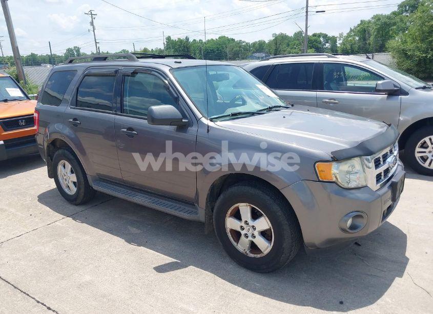 2009 Ford Escape XLT (VIN 1FMCU93GX9KB27298) main photo