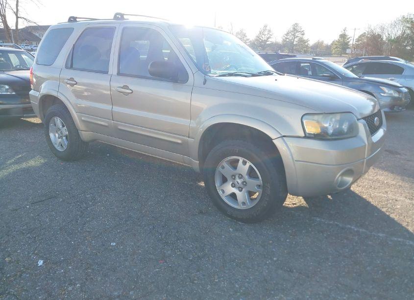 2007 Ford Escape LIMITED (VIN 1FMCU94187KA41172) main photo