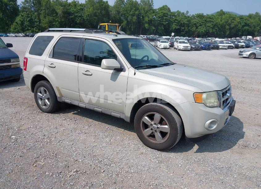 2009 Ford Escape LIMITED (VIN 1FMCU94729KB00689) main photo