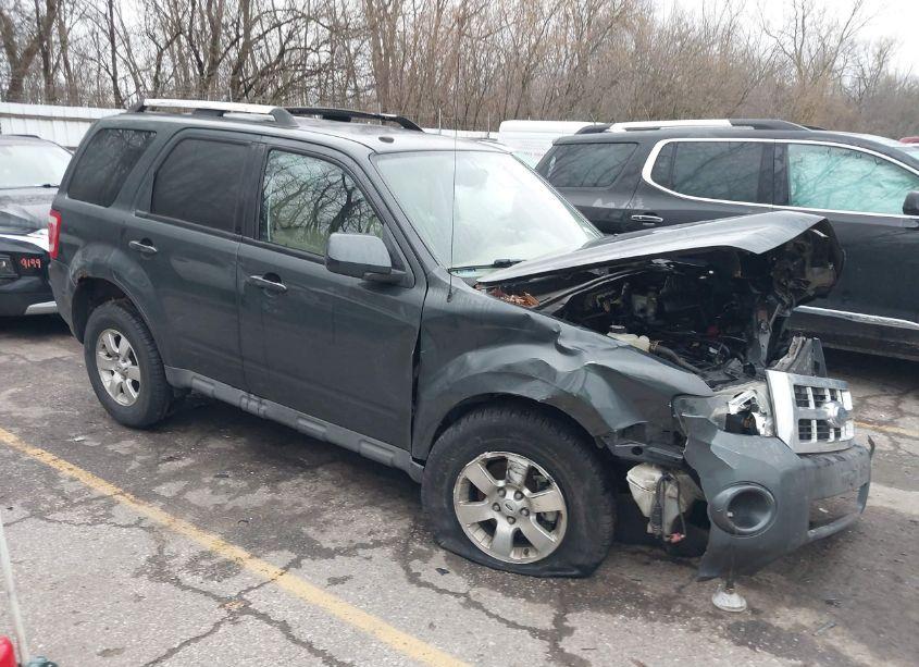 2009 Ford Escape LIMITED (VIN 1FMCU94729KB47303) main photo