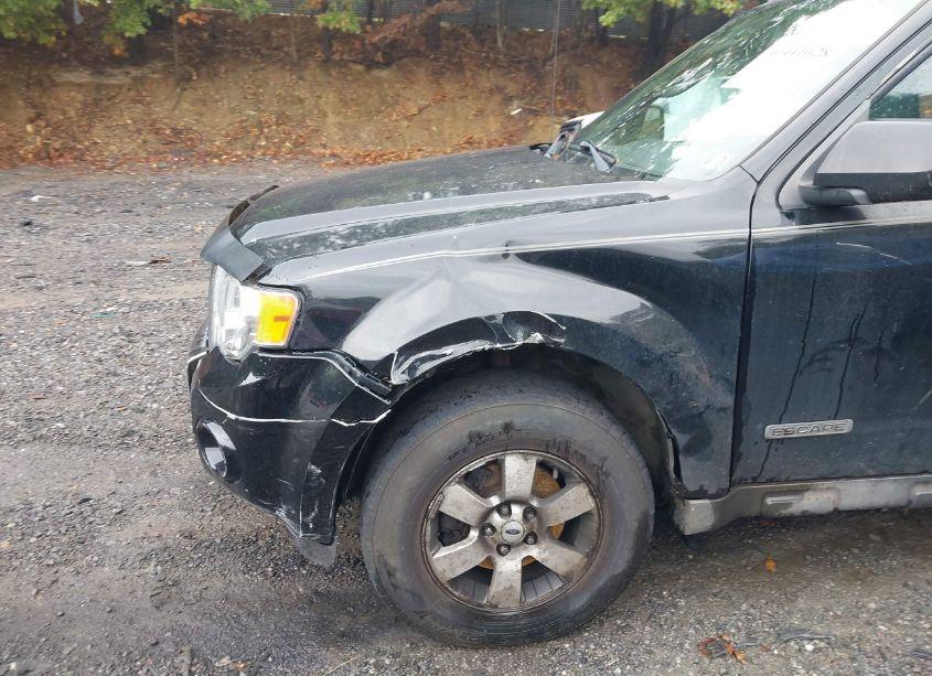 Photo 13 of 2009 Ford Escape LIMITED (VIN 1FMCU94779KB63156)