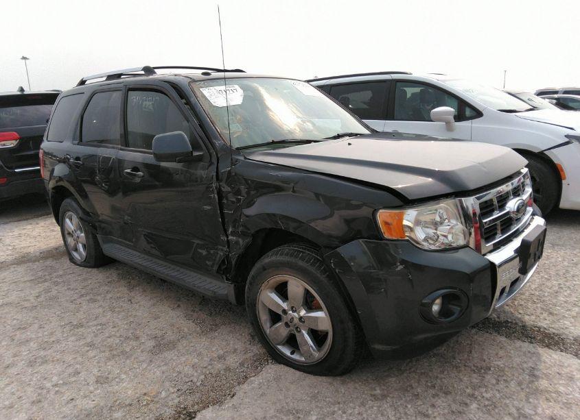 2009 Ford Escape LIMITED (VIN 1FMCU94G19KB87324) main photo