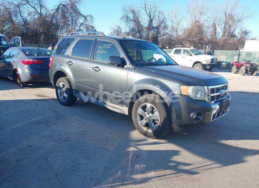 2009 Ford Escape LIMITED (VIN 1FMCU94G29KA34029) main photo