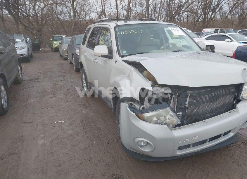 2009 Ford Escape LIMITED (VIN 1FMCU94G49KA11822) main photo