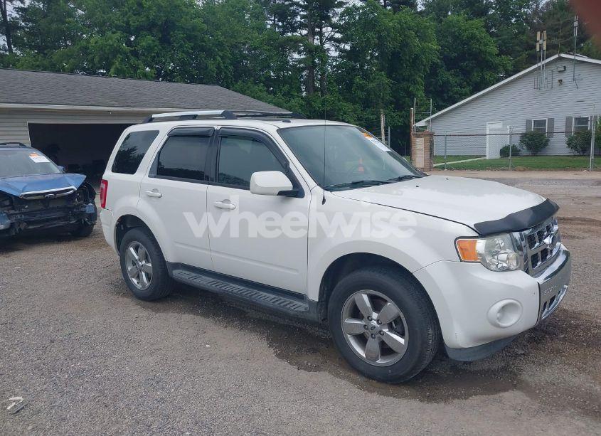 2009 Ford Escape LIMITED (VIN 1FMCU94G89KA03156) main photo