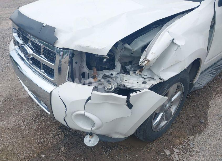 Photo 6 of 2009 Ford Escape LIMITED (VIN 1FMCU94G89KA03156)