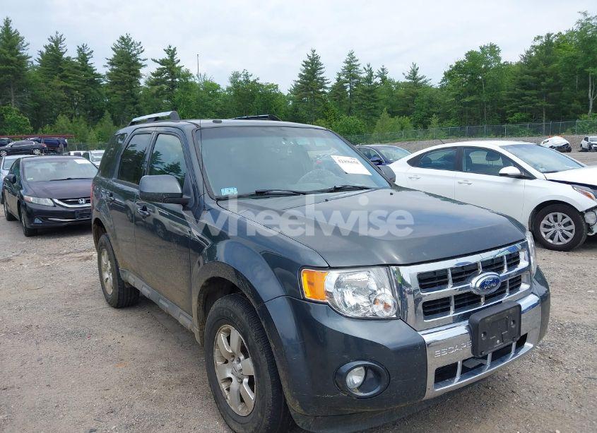 2009 Ford Escape LIMITED (VIN 1FMCU94G99KB93565) main photo
