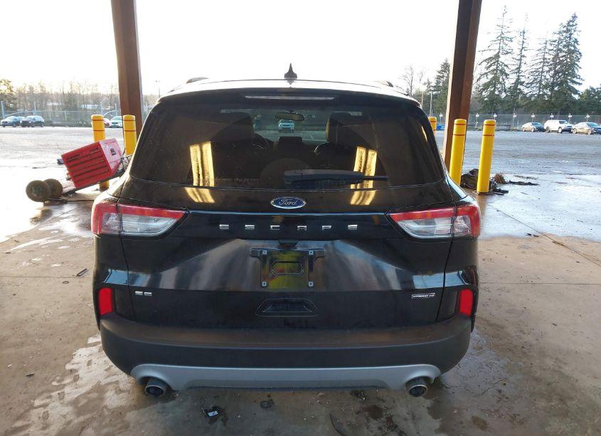 Photo 17 of 2020 Ford Escape SE SPORT HYBRID (VIN 1FMCU9BZ3LUB14195)